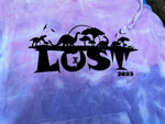 Ohio Lost Design choices