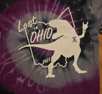 Ohio Lost Design choices